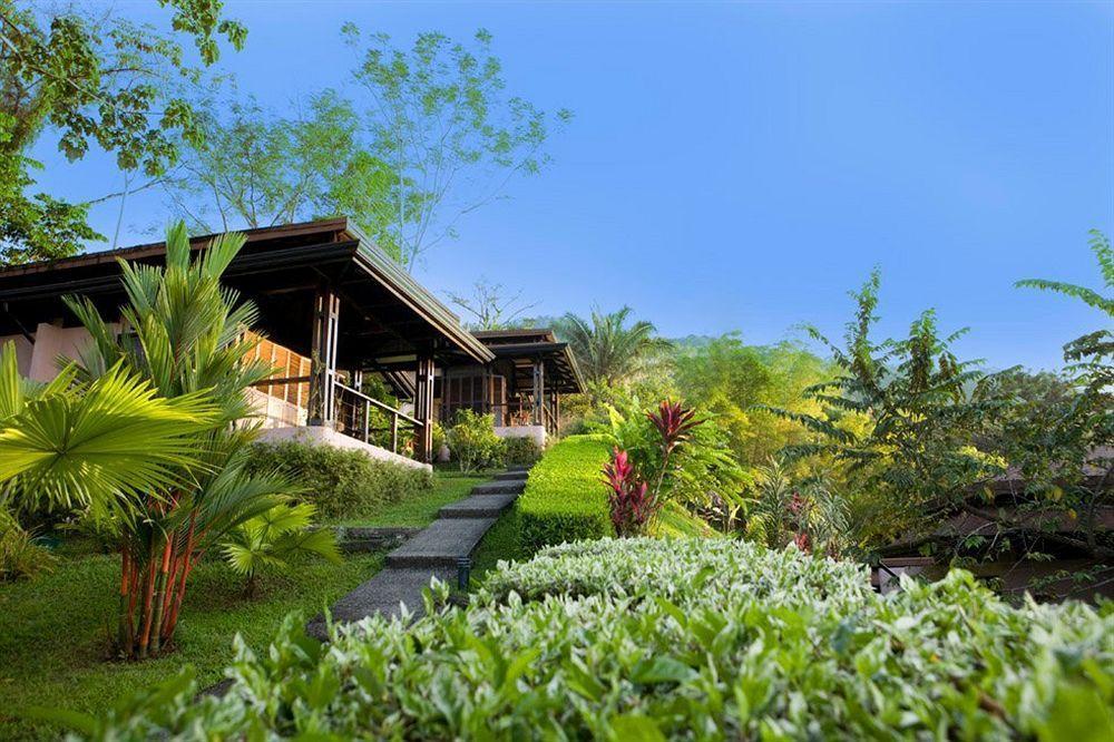Tiki Villas Rainforest Lodge & Spa Увита Екстериор снимка