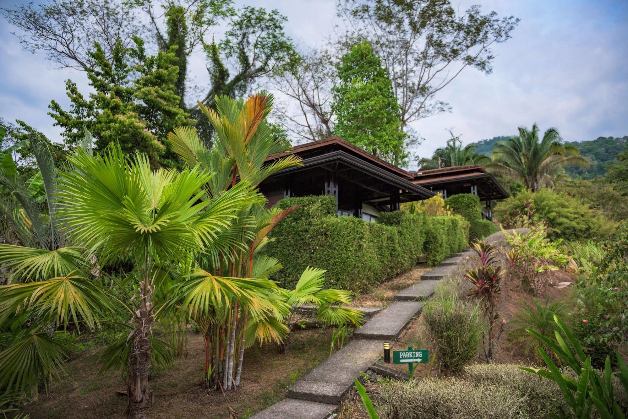 Tiki Villas Rainforest Lodge & Spa Увита Екстериор снимка