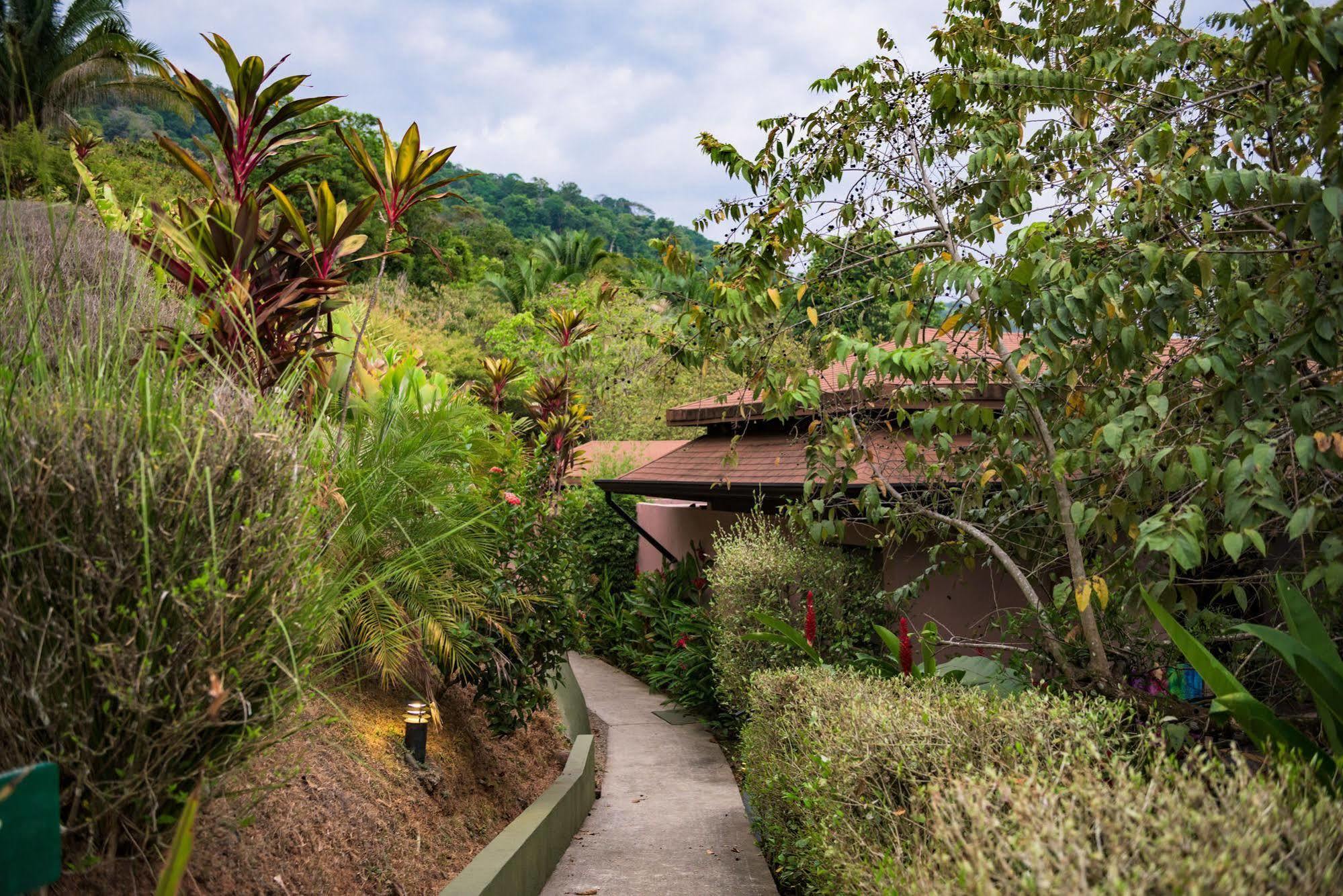 Tiki Villas Rainforest Lodge & Spa Увита Екстериор снимка