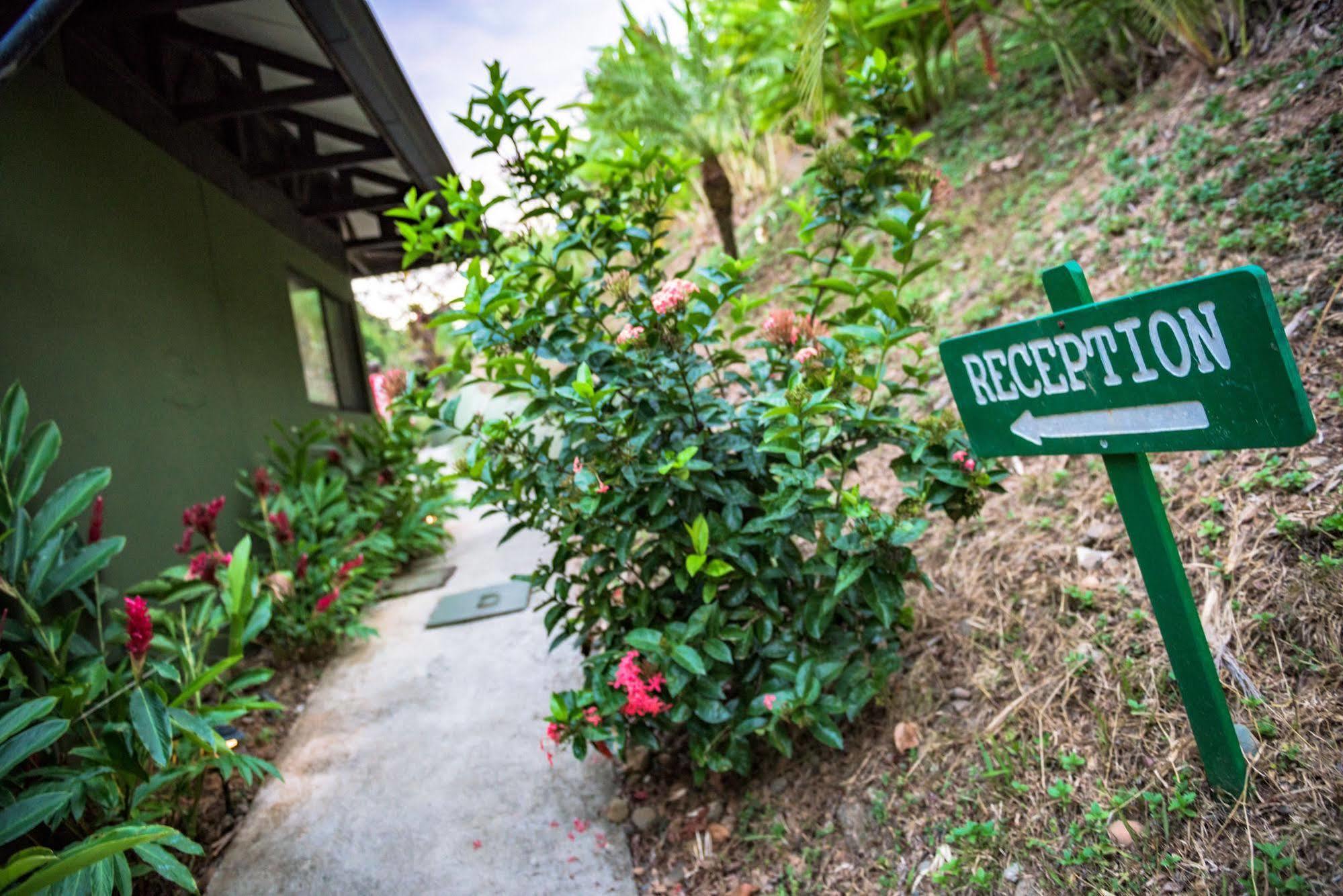 Tiki Villas Rainforest Lodge & Spa Увита Екстериор снимка
